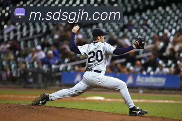 东升国际发展历程