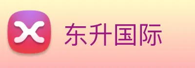东升国际 logo
